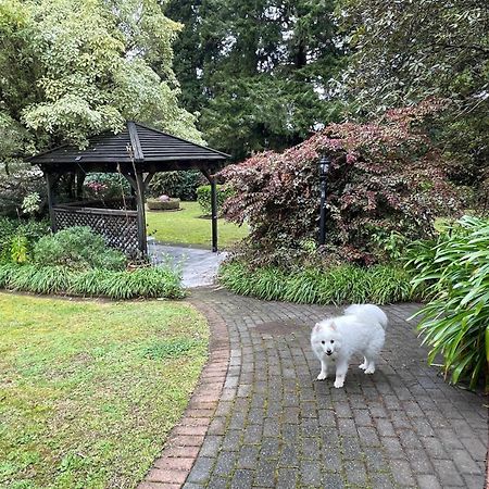 Garden Paradise In Rotorua With Pool Экстерьер фото