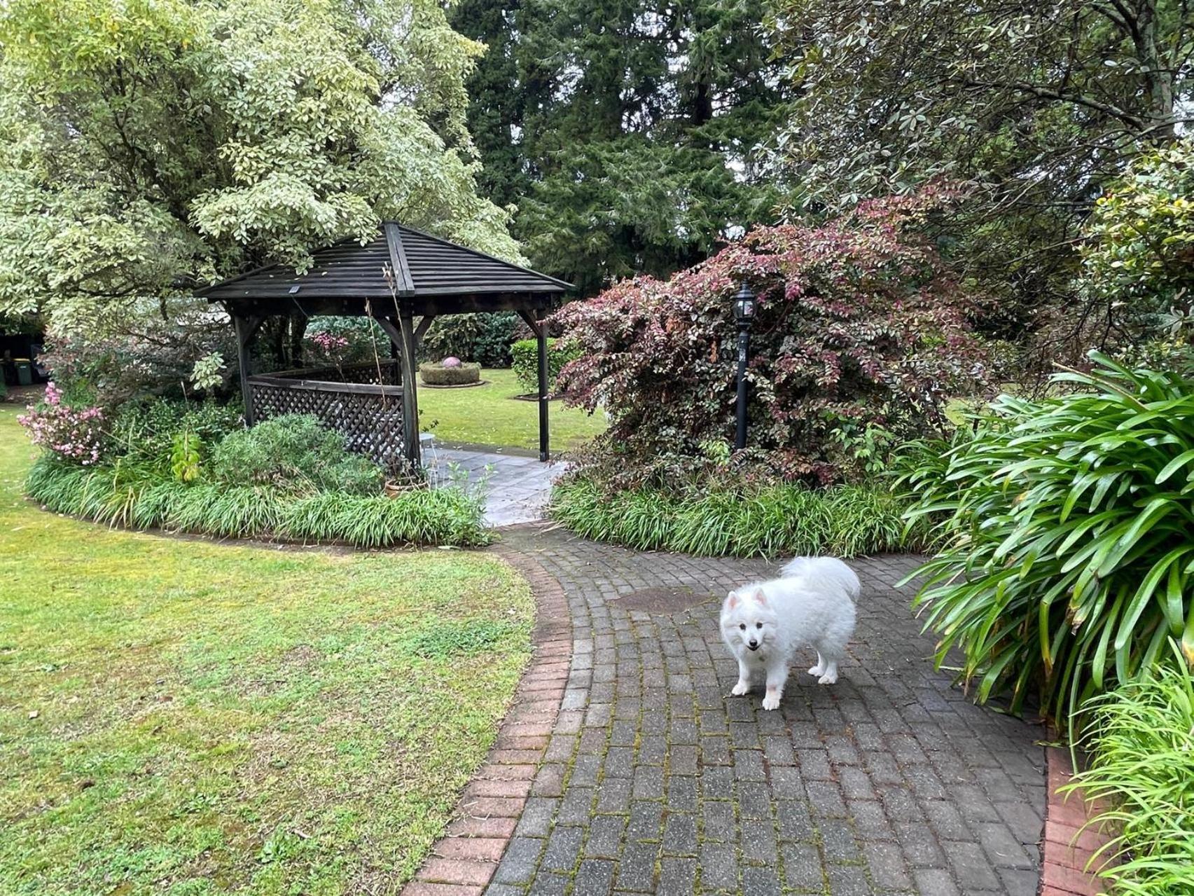 Garden Paradise In Rotorua With Pool Экстерьер фото